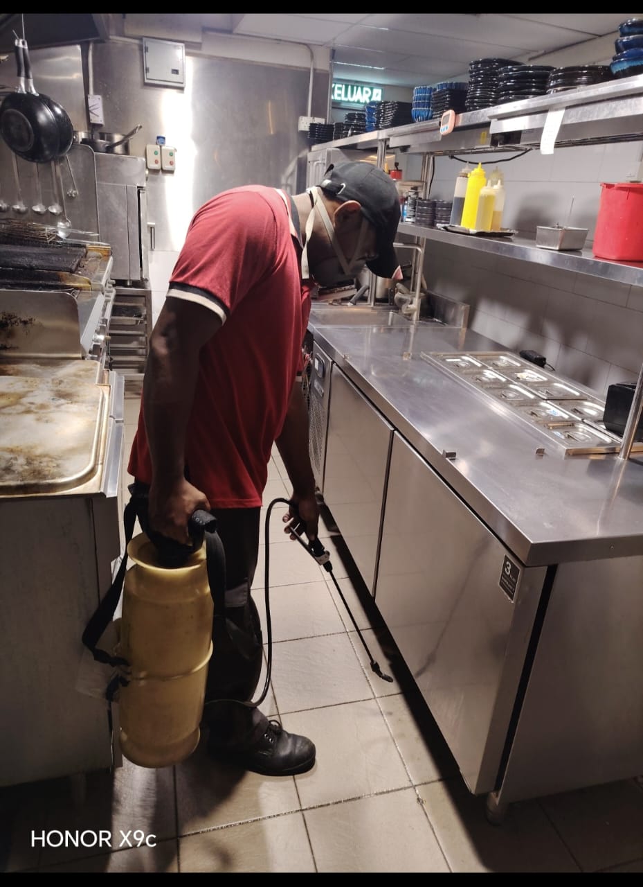Cockroach treatment in commercial kitchen