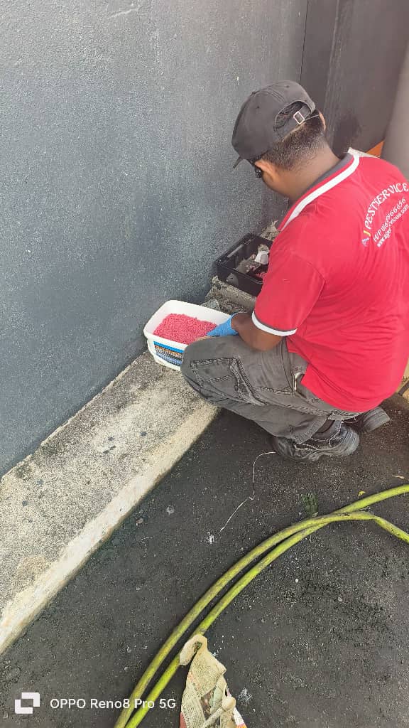 Rodent baiting at building perimeter